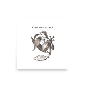 Cacao Plant 1839 Wall Poster